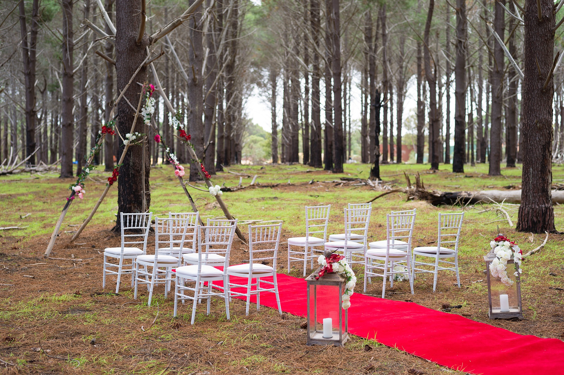 pine-forest-ceremony-01