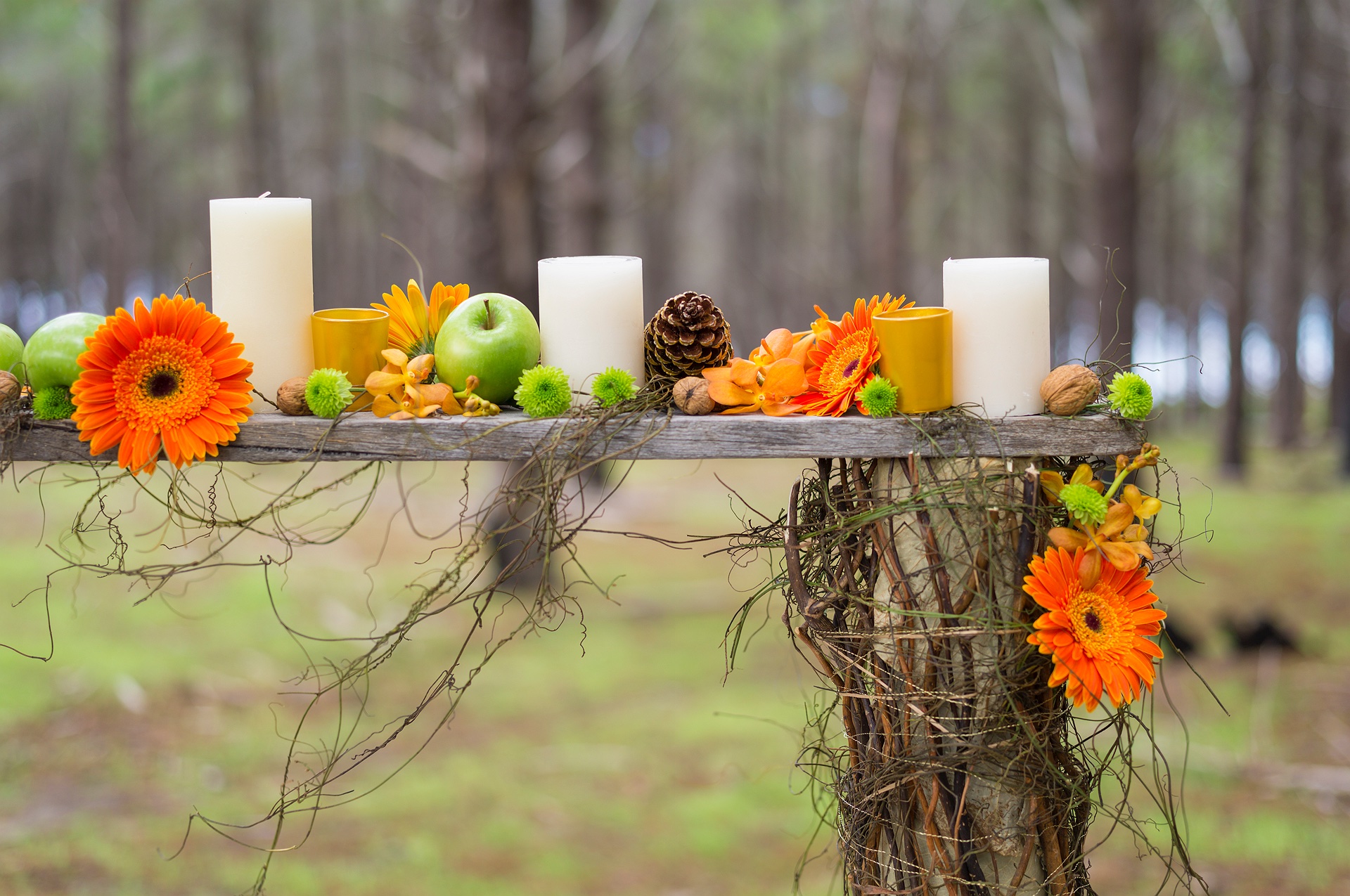 pine-forest-wedding-table-plank-4