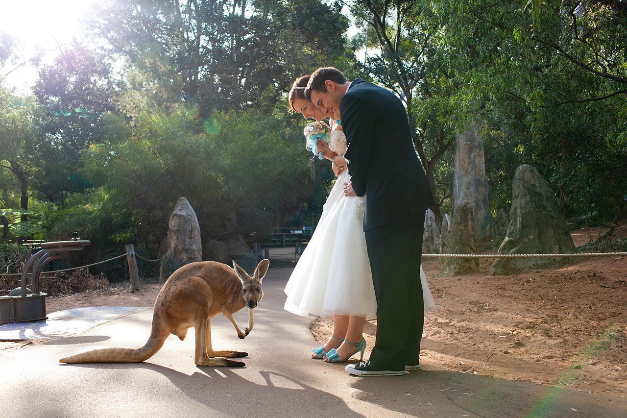 perth-zoo-wedding-photography-16